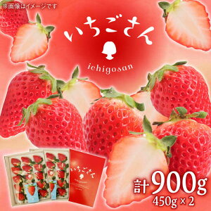 yӂ邳Ɣ[Łzy2026N s\zi450g×2pbNj/  C`S  ʕ t[c / ꌧ / JA Â܂s [41ABCA002]