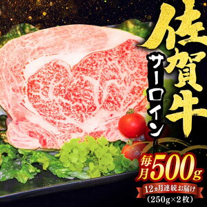 yӂ邳Ɣ[ŁzyIׂPiEցzꋍ T[CXe[L v500g-6kgi250g×2j / uha Xe[L  / ꌧ / }THi [41ADAA004]