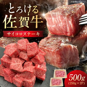 yӂ邳Ɣ[Łzꋍ TCRXe[L 500g i250g×2Pj / ꌧ / DcX[41ADAB001]