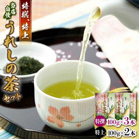 【ふるさと納税】厳選お茶（特上/特撰うれしの茶）5本セット / 嬉野茶 緑茶 / 佐賀県 / 有限会社孔子園製茶 [41ADAC003]