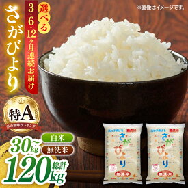 【ふるさと納税】【ロマ佐賀】【選べる回数】令和7年産 無洗米さがびより 白米 / お米 ブランド米 ふるさと納税米 / 佐賀県 / 株式会社JA食糧さが [41ADAR010]