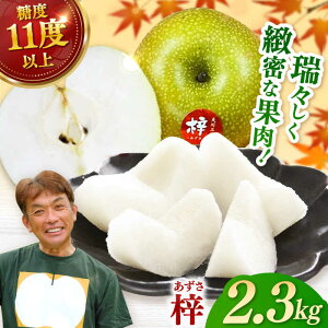yӂ邳Ɣ[ŁzyƌvԗizyIׂԗiziÂj3i1.2kgjor 5-6i2.3kgj/  ɖ Ȃ t[c ϔ/ ꌧ / O [41AEAB001]