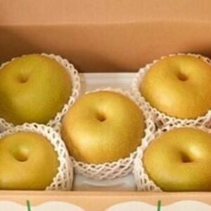 yӂ邳Ɣ[Łzy2026N s\zyϔzKYiKj5-6i2.3kgj/  ɖ Ȃ / ꌧ / O [41AEAB004]