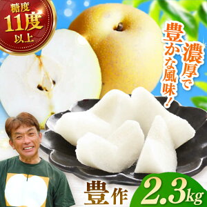 yӂ邳Ɣ[Łzy2026N s\zyIׂԗizyϔzLiLj3i1.2kgjor 5-6i2.3kgj /  Ȃ ɖ t[c ʕ / ꌧ / O [41AEAB005