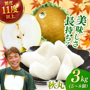 yӂ邳Ɣ[ŁzyϔzHہiHj5-8i3kgj /  Ȃ ɖ t[c ʕ / ꌧ / O [41AEAB011]