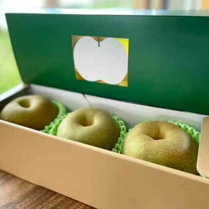 yӂ邳Ɣ[Łzy2026N s\zyϔzKYiKj3i1.2kgj/  ɖ Ȃ / ꌧ / O [41AEAB012]