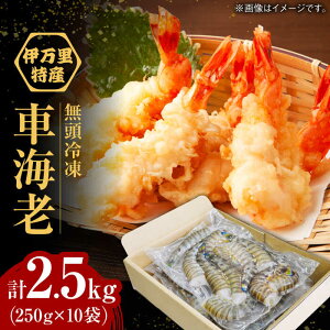 yӂ邳Ɣ[ŁzyIׂeʁzyMpzⓀԊCV v500g-2.5kg / CN ԃGr CV Gr   GrtC / ꌧ / Б ɖN}GrZ^[ [41AEAJ008]