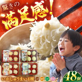 【ふるさと納税】いかしゅうまい4種詰合せ（6個入り×各2パック） / いかしゅうまい イカ 海老 焼売 セット 小分け/ 佐賀県 [41AECT004]