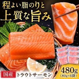 【ふるさと納税】玄海サーモン柵80g×6袋 / むき身 刺身用ポーション 小分け 真空パック / 佐賀県 / 株式会社九州特産品販売[41AECT008]