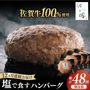 yӂ邳Ɣ[ŁzyIׂzI ꋍ100% no[O 140g×4-48 / Ⓚ  a uh јa / ꌧ / Ѓi`t[Y [41AFAB004]