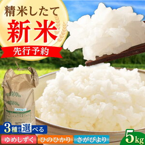 yӂ邳Ɣ[Łzy2025N s\zߘa7NY ߂ or Ђ̂Ђ or т 5kg  / ꌧY   uh ӂ邳Ɣ[ Yn / ꌧ / LВX[41AGA