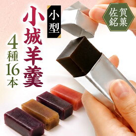 【ふるさと納税】小型小城羊羹16本詰 / 羊羹 和菓子 アソート 詰め合わせ あんこ おやつ / 佐賀県 /株式会社村岡総本舗[41AHAD001]