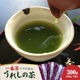 【ふるさと納税】【一番摘み茶葉のみを使用！】老舗茶屋 川原茶業の特別な嬉野茶（一番茶 かぶせ玉緑茶100g×3本入）/ 佐賀県 / 株式会社川原茶業 [41AIAV003]