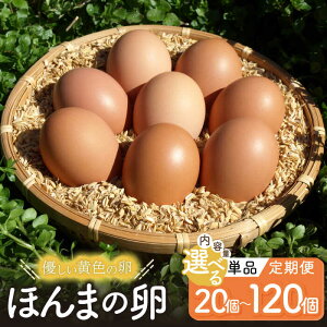 yӂ邳Ɣ[ŁzyIׂPiEցzjg̗LIق܂̗ / ܂   / ꌧ / {Ԕ_ [41AJAA001]