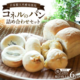 【ふるさと納税】【選べる単品・定期便】自家製天然酵母パンの詰め合わせセット 計約1kg/回 / パン 食べ比べ 天然酵母 / 佐賀県 / パンと器のコネル [41AJAB006]