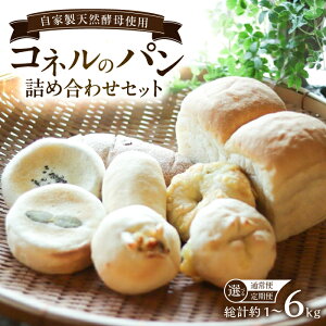 yӂ邳Ɣ[ŁzyIׂPiEցzƐVRyp̋lߍ킹Zbg v1kg/ / p Hה VRy / ꌧ / pƊ̃Rl [41AJAB006]