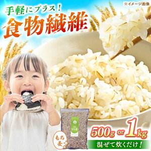 yӂ邳Ɣ[ŁzyIׂeʁzꌧY  v500g-1kg /   ꌧY Y B / ꌧ / ʎВc@lT[41ANAC105]