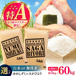 yӂ邳Ɣ[ŁzyIׂizyIׂPiEցzт    v5kg-60kg / ܂ă}CX^[I A A] / ꌧ / ˕čX[41ANAD011]