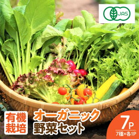 【ふるさと納税】サガンベジオーガニックサラダミニセット 7種×1パック 有機JAS / 佐賀県 / 株式会社サガンベジ [41ANCH001]