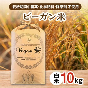 yӂ邳Ɣ[Łzr[K 10kg / ꌧ / ЃTKxW [41ANCH004]