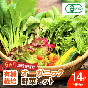 yӂ邳Ɣ[ŁzyS6ցz I[KjbNt؃Zbg 7×2pbN L@JAS / ꌧ / ЃTKxW [41ANCH006]