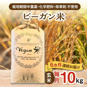 yӂ邳Ɣ[ŁzyƌvԗizyS6ցz r[K  v60kgi10kg×6j / ꌧ / ЃTKxW [41ANCH007]