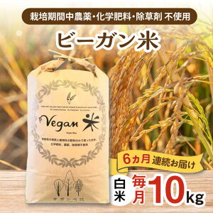 yӂ邳Ɣ[ŁzyƌvԗizyS6ցz r[K  v60kgi10kg×6j / ꌧ / ЃTKxW [41ANCH008]