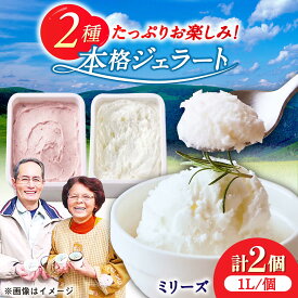 【ふるさと納税】本格ジェラート ファミリーセット 1L×2個 / ジェラート アイス アイスクリーム ギフト 贈答 / 佐賀県 / 松本アイス工房[41AOAA005]