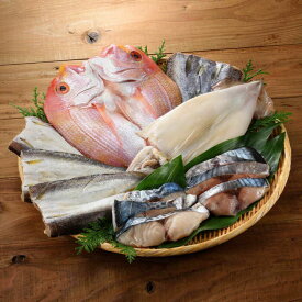 【ふるさと納税】玄界灘の恵 干物8種盛りセット / 連子鯛 アジ カマス ムツ カツオ ブリ イカ / 佐賀県 / 丸福水産 [41AOCS009]