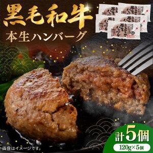 yӂ邳Ɣ[ŁzYјa{no[O v600gi120g×5j/ no[O Ⓚ  ȒP a / ꌧ / ВRq [41AOCW004]