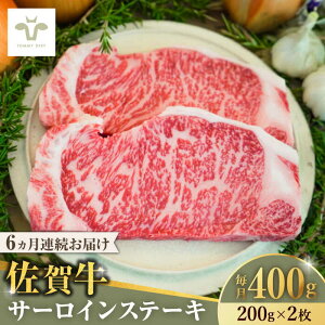 yӂ邳Ɣ[ŁzyS6ցzꋍT[CXe[L v2.4kgi200g×2×6j / q꒼ uh a јa  / ꌧ / LЍZgq[41ASAA147]