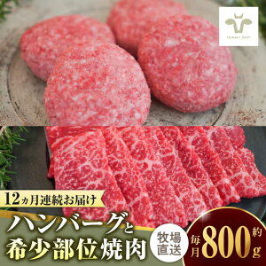 yӂ邳Ɣ[ŁzyƌvԗizyS12ցzꋍ100no[O4Ɗ󏭕ʏē300g / Ya uh   / ꌧ / LЍZgq [41ASAA202]