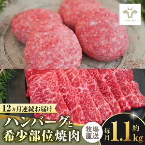 yӂ邳Ɣ[ŁzyƌvԗizyS12ցzꋍ100no[O4Ɗ󏭕ʏē600g / Ya uh   / ꌧ / LЍZgq [41ASAA205]