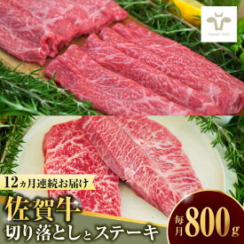 【ふるさと納税】【全12回定期便】佐賀牛 至福の切り落としと赤身ステーキ食べ比べ 計9.6kg / 牧場直送 ブランド牛 和牛 黒毛和牛 小分け / 佐賀県 / 有限会社佐賀セントラル牧場[41ASAA226]