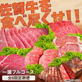 【ふるさと納税】【全6回定期便】佐賀牛一頭フルコース定期便 / 牛肉 ふるさと納税 黒毛和牛 ブランド牛 ステーキ 焼肉 すき焼き しゃぶしゃぶ 希少部位 肉定期 / 佐賀県 / 有限会社佐賀セントラル牧場 [41ASAA309]