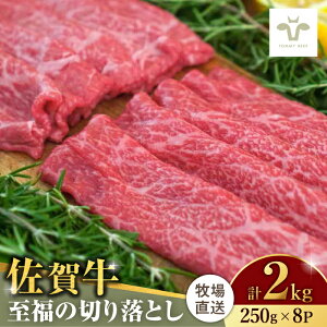 yӂ邳Ɣ[ŁzyƌvԗizyIׂeʁzꋍ؂藎Ƃ 500g-2kg / ꋍ  ؂藎Ƃ [X  J^ o Ԑg Ă Ԃ  / ꌧ / LЍ