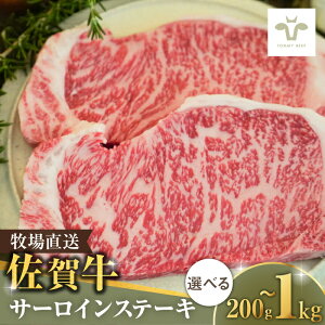 yӂ邳Ɣ[ŁzyƌvԗizyIׂeʁzꋍ T[CXe[L 200g-1kg / Xe[L uh a јa e  / ꌧ / LЍZgq [41ASA