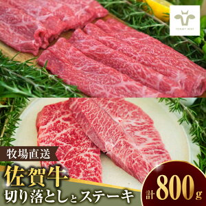 yӂ邳Ɣ[Łzyƌvԗiz̐؂藎Ƃ500gƐԐgXe[L300g / Ya  / ꌧ / LЍZgq [41ASAA096]