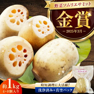 yӂ邳Ɣ[Łzy܎܁Iz^pbN ʂ̂蔒΂񂱂 1kg(4-8) / 񂱂 @ R   / ꌧ / [41ASAB001]