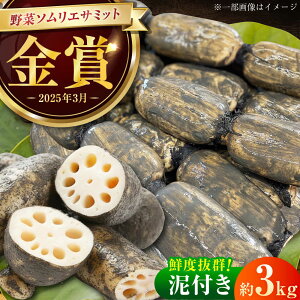 yӂ邳Ɣ[Łzy܎܁IzDt ʂ̂蔒΂񂱂 3kg / 񂱂 @ R   / ꌧ / [41ASAB002]