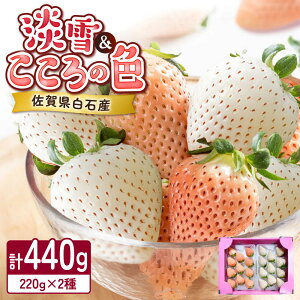 yӂ邳Ɣ[Łzy2026N s\zWE̐F v~A v440gi220g×2pbNj/ ݐ_[41ASAG007]