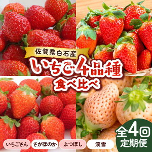 yӂ邳Ɣ[Łzy2026N s\zyS4ցz4iHהׁiEق̂EڂEWj/   C`S  t[c ʕ  / ꌧ / 