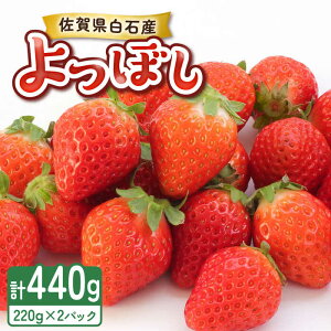 yӂ邳Ɣ[Łzy2026N s\zڂi220g×2pbNj/  C`S  ʕ t[c / ꌧ / ݐ_ [41ASAG038]