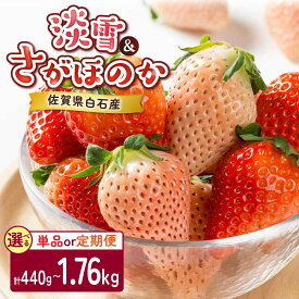【ふるさと納税】【2026年発送分 先行予約】【選べる単品・定期便】淡雪・さがほのか 紅白いちごセット各220g-880g / いちご いちご 白いちご イチゴ 苺 フルーツ 果物 / 佐賀県 / 岸川農園 [41ASAG043]