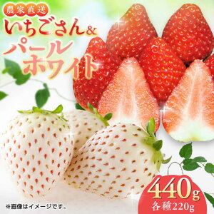 yӂ邳Ɣ[Łzy2026N s\zg̃Zbg ꌧY Ep[zCge220g / C`S  t[c ʕ / ꌧ / 킳 [41ASBJ001]