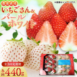 yӂ邳Ɣ[Łzy2026N s\zyS3ցzEp[zCge220g lߍ킹 / C`S  t[c ʕ / ꌧ / 킳 [41ASBJ008]