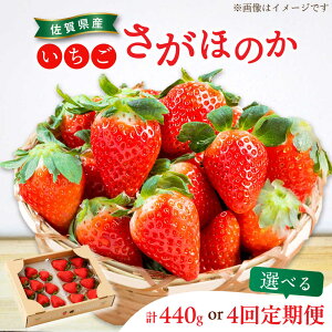 yӂ邳Ɣ[Łzys\zyIׂPiEցzق̂ 220g×2pbNiv440g-1.76kgj /  C`S  ʕ t[c / ꌧ / ]_ [41ASBK005]