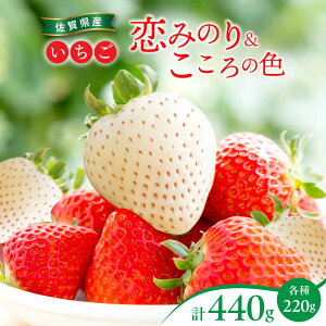 yӂ邳Ɣ[Łzys\ẑ݂E̐F 220g×2pbNie1pbNj / Ԕ C`S  ʕ t[c / ꌧ / ]_ [41ASBK007]