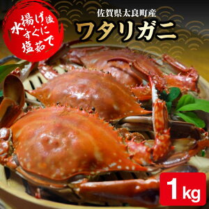 yӂ邳Ɣ[ŁzyʌzLC̑蕨 |肩 1kg / nI Jj IX CN / ꌧ / @ [41ATAF002]