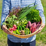 �ڤդ뤵��Ǽ�ǡۣ�&minus;�����������컺����ν���ڡʣ��������